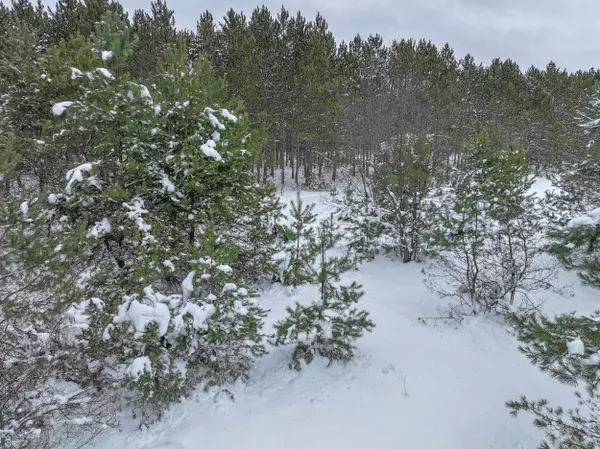 Interlochen, MI 49643,20575 Cinder Road