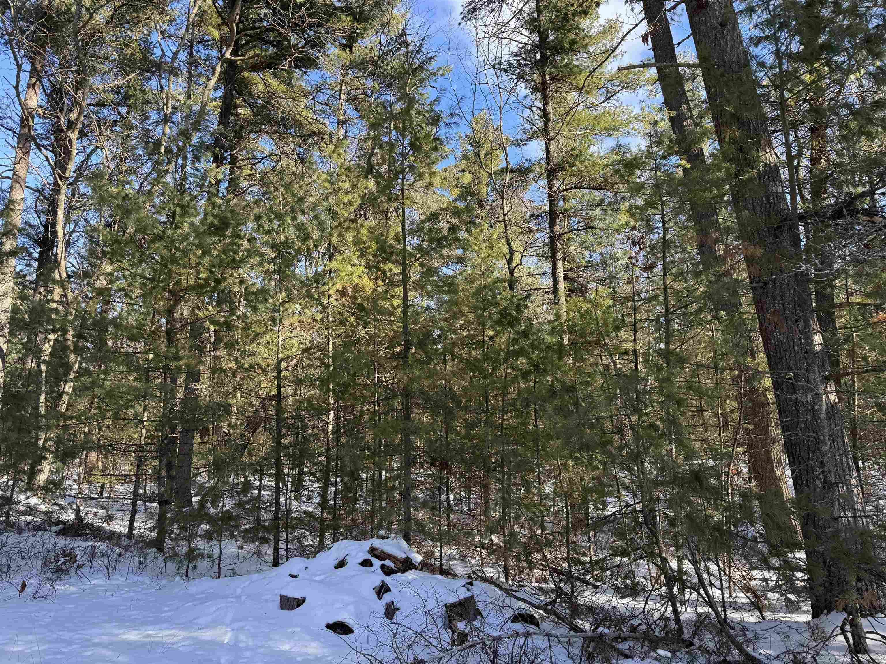 Oscoda, MI 48750,4699 Johnson Road