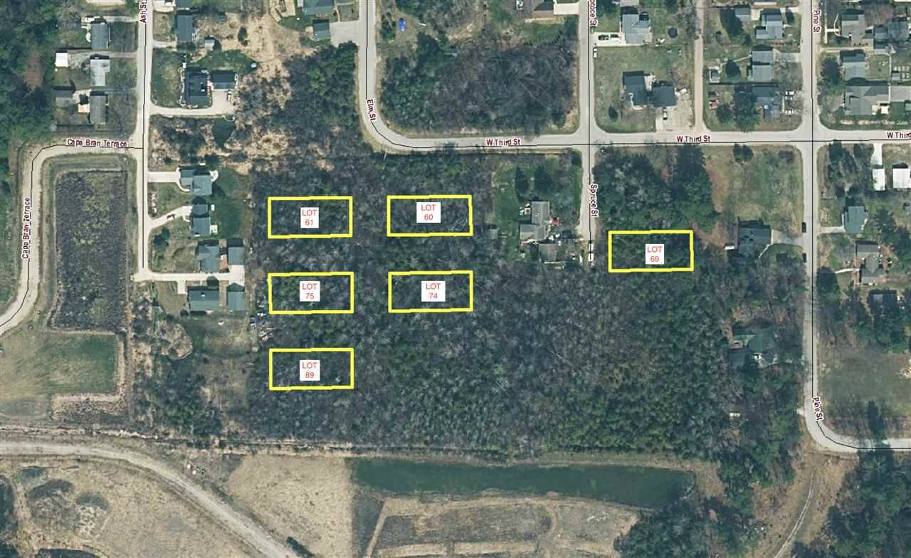 0000 Elm Street, Elk Rapids, MI 49629