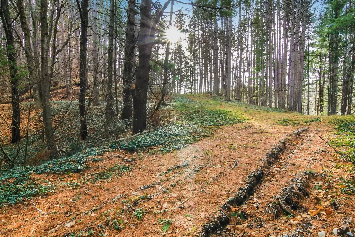 Traverse City, MI 49684,5172 Cedar Valley Road