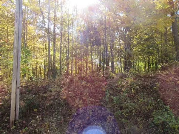Interlochen, MI 49643,00 Jeri Road