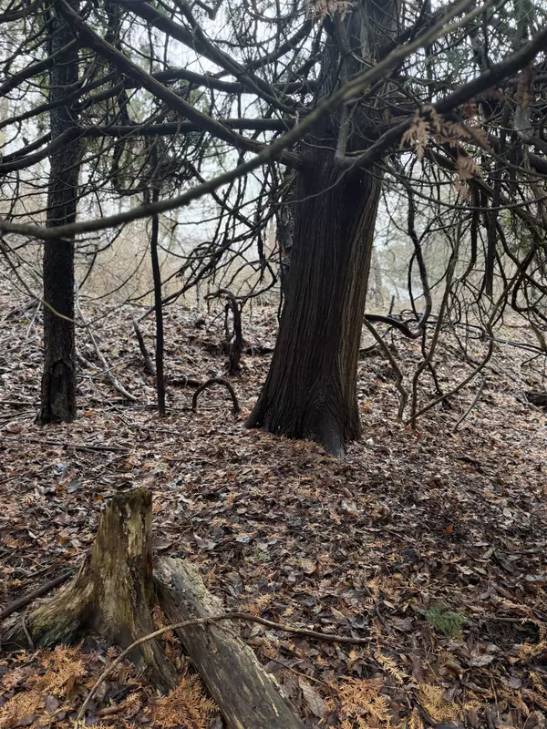 Mount Pleasant, MI 48858,TBD Cedar Drive