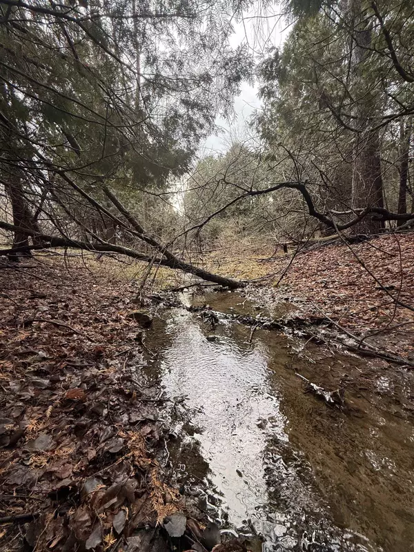 Mount Pleasant, MI 48858,TBD Cedar Drive