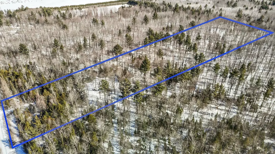 11483 SW Henschell Road, Fife Lake, MI 49633
