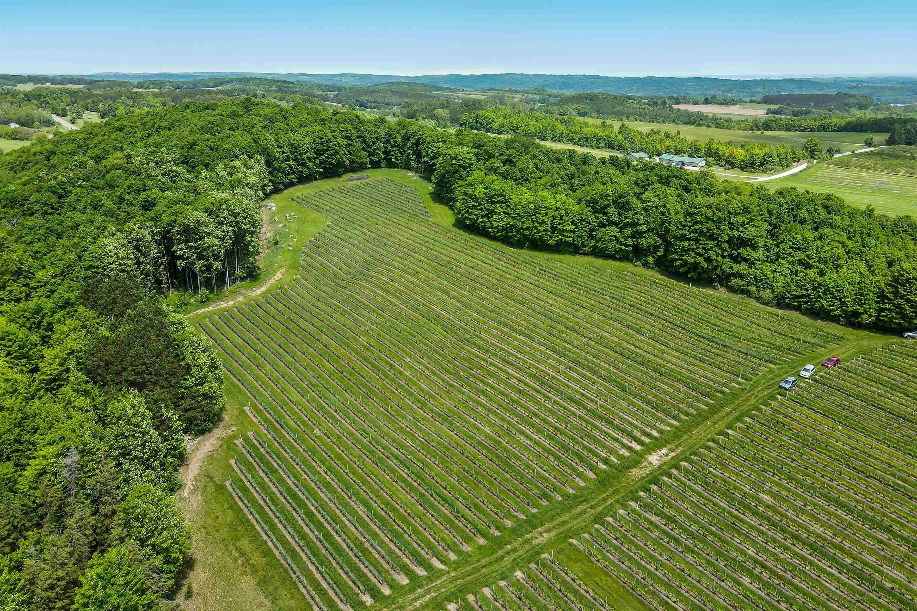 Lake Leelanau, MI 49653,3300 S French Road