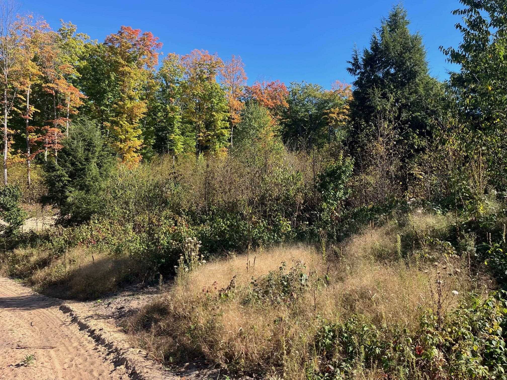 Traverse City, MI 49685,8762 Hemlock Hill Drive
