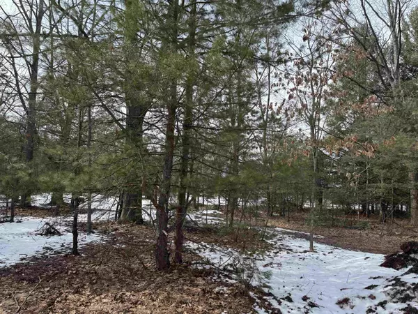 610 Kettle Lake Road, Kalkaska, MI 49646