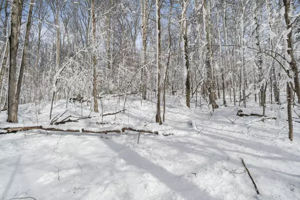 Maple City, MI 49664,00 S Coleman Road