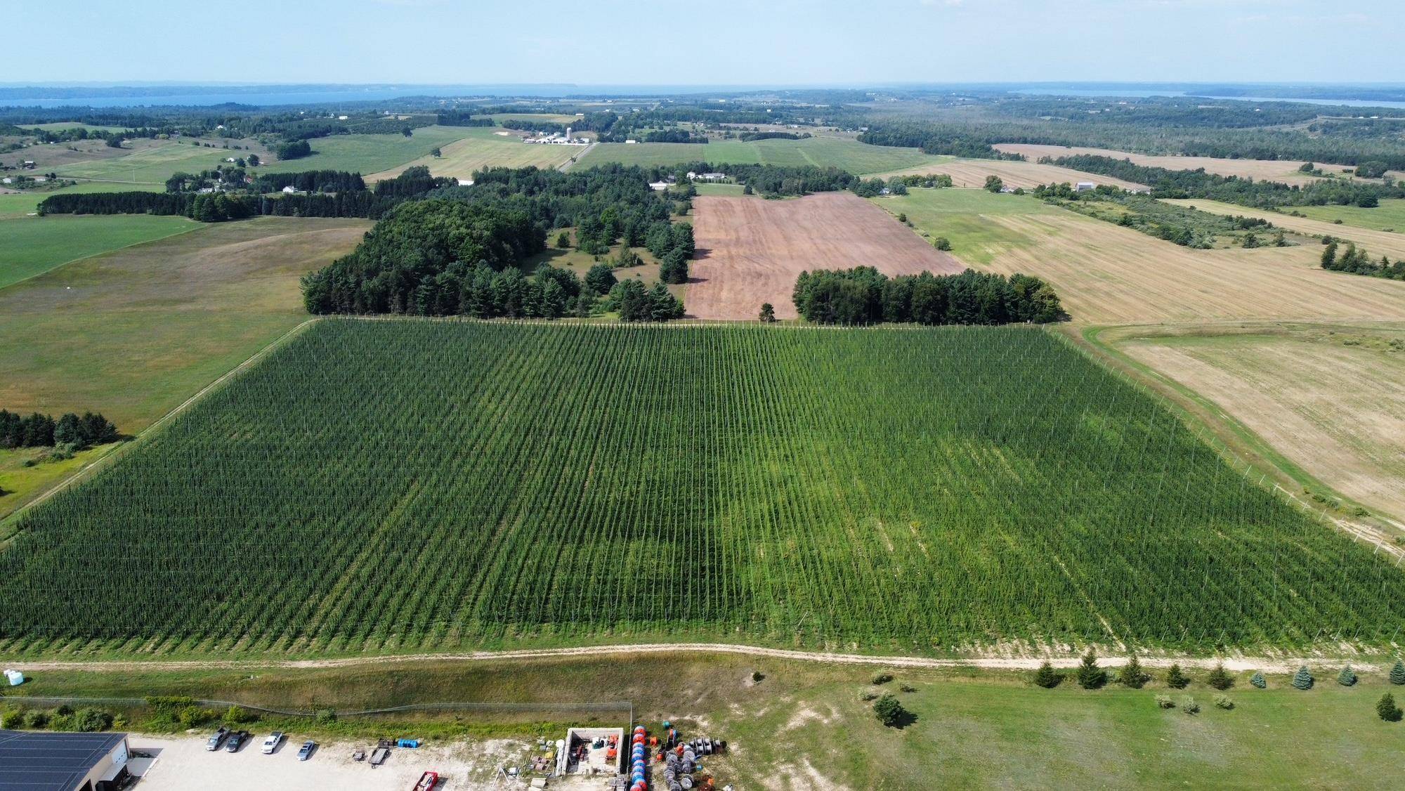 Arnold Road, Williamsburg, MI 49690