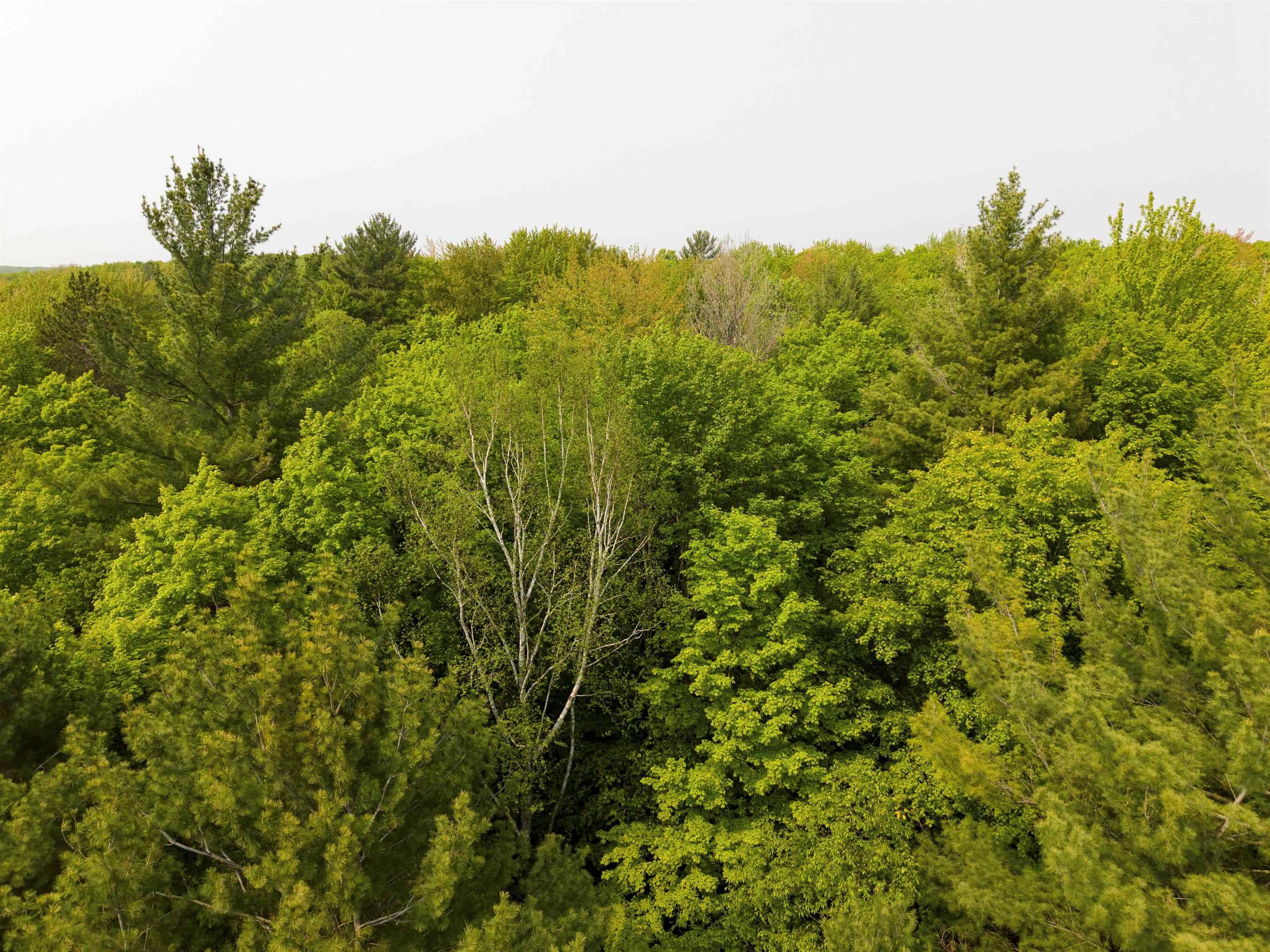 Kalkaska, MI 49646,5766 E Shore Drive