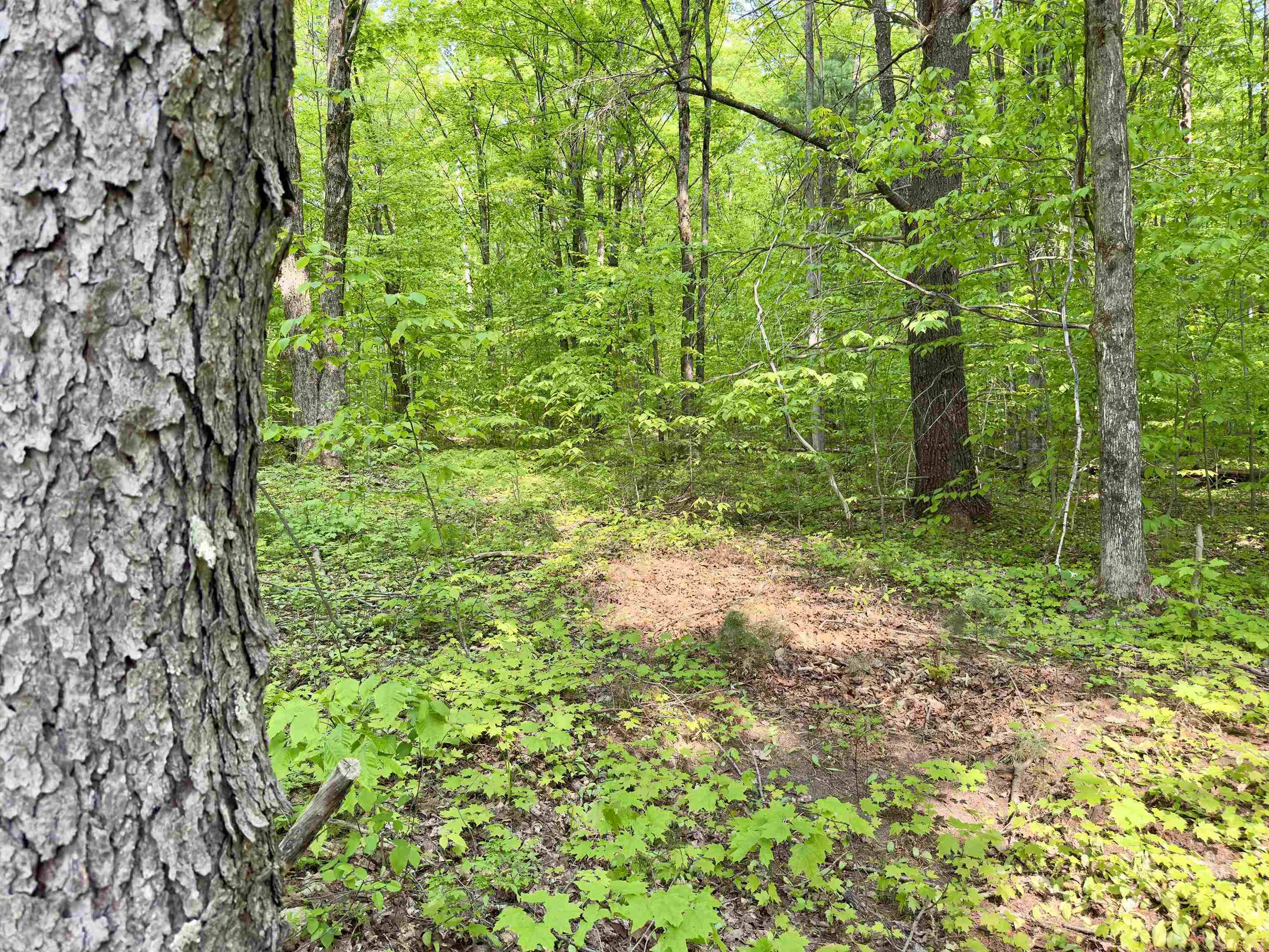 Kalkaska, MI 49646,5766 E Shore Drive