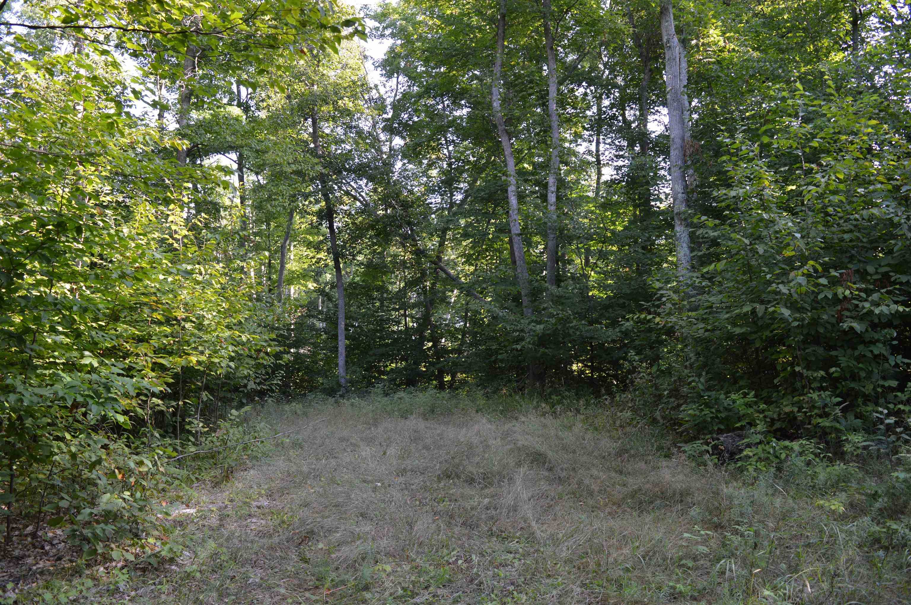 W Leonard Road, Mancelona, MI 49659
