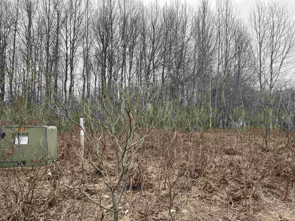 Cadillac, MI 49601,Lot 20 Crestview Drive