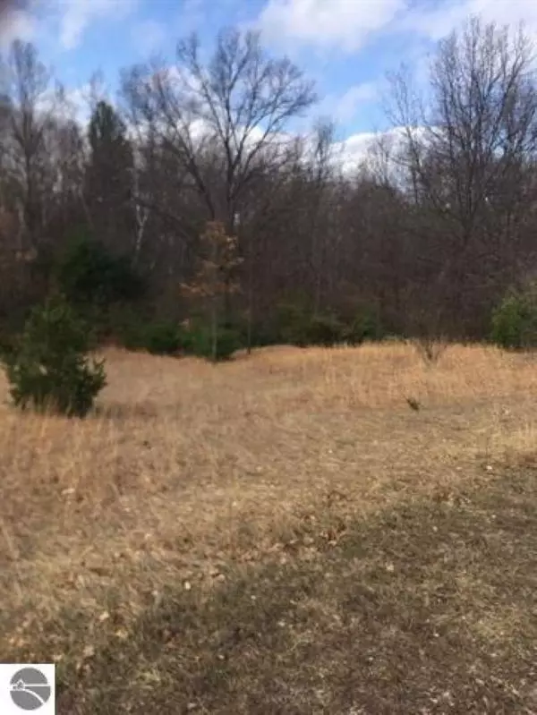 Alden, MI 49612,Lot 27 Alden Meadows