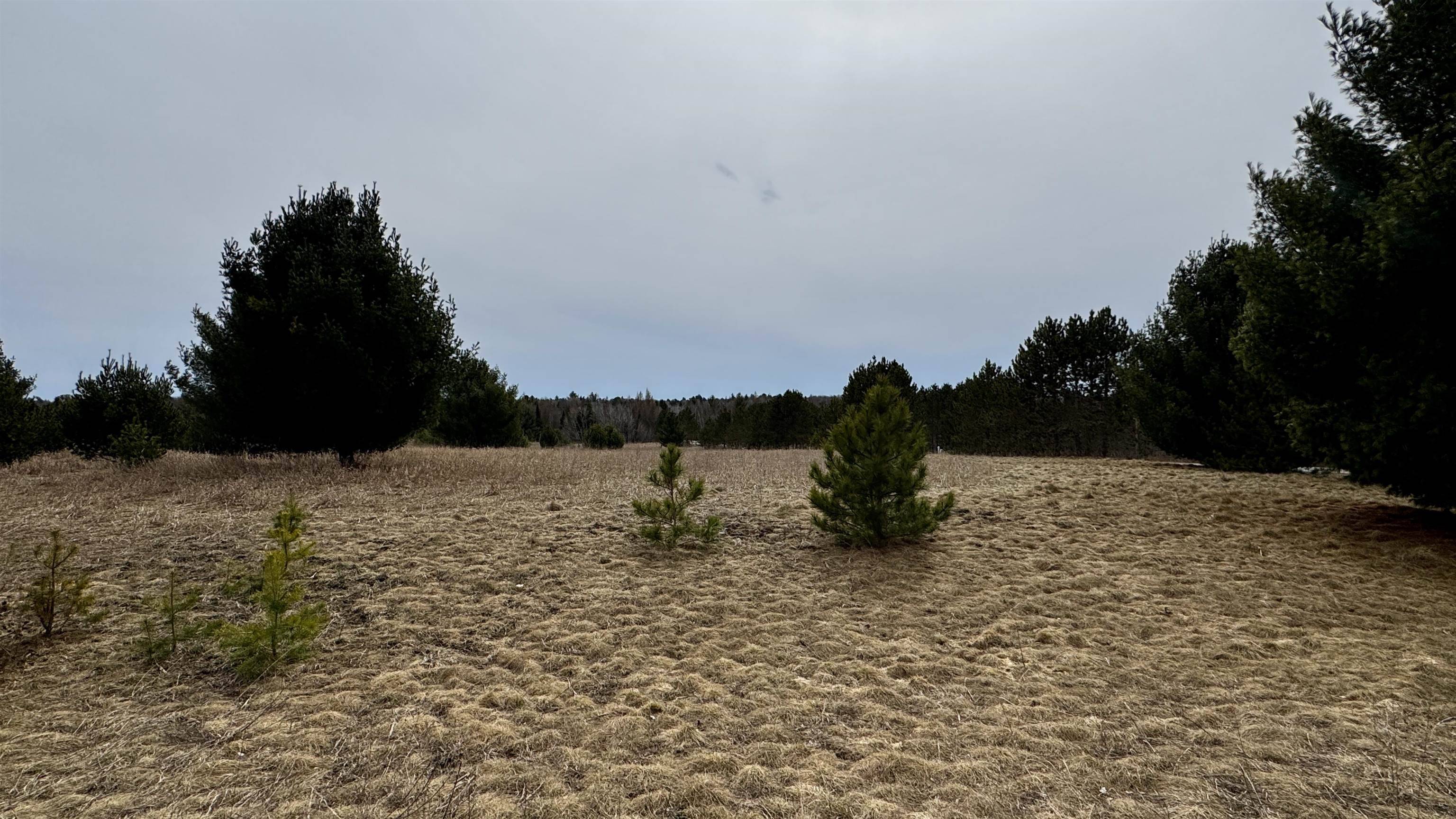 Cadillac, MI 49601,Lot #17 Wedgewood Court