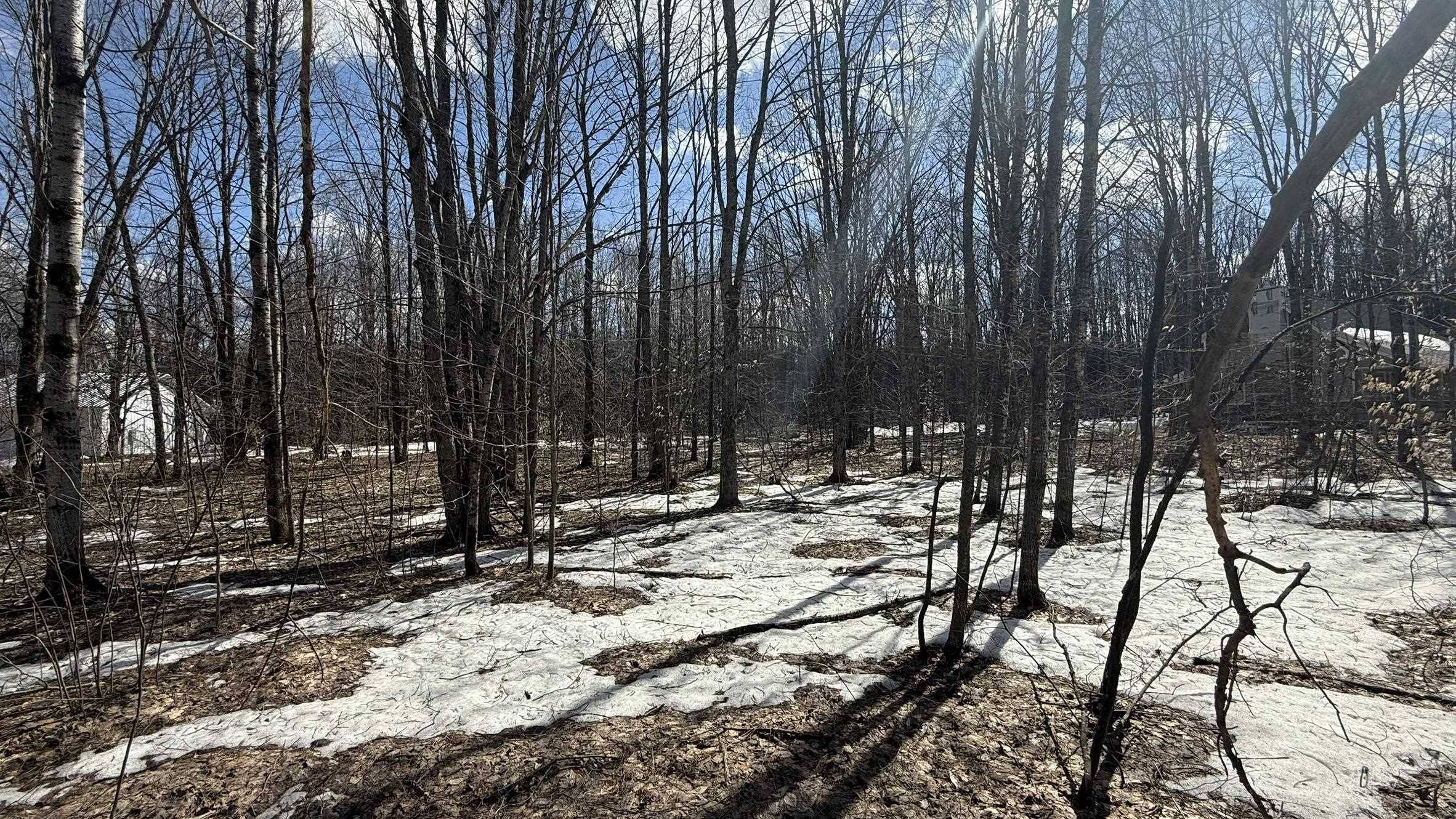 Mancelona, MI 49659,Lot 421 Northridge Drive