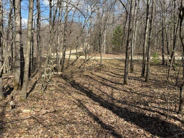 Ticino Drive, Reed City, MI 49677