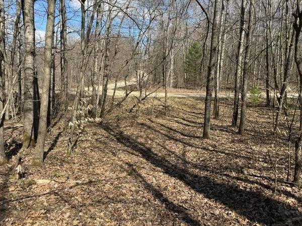 Ticino Drive, Reed City, MI 49677