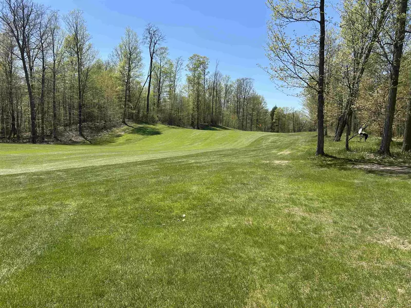 Lot 8 Whitetail Drive, Bellaire, MI 49615