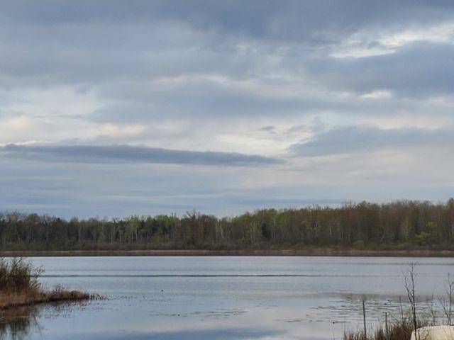 Prescott, MI 48756,4290 S Lake Drive