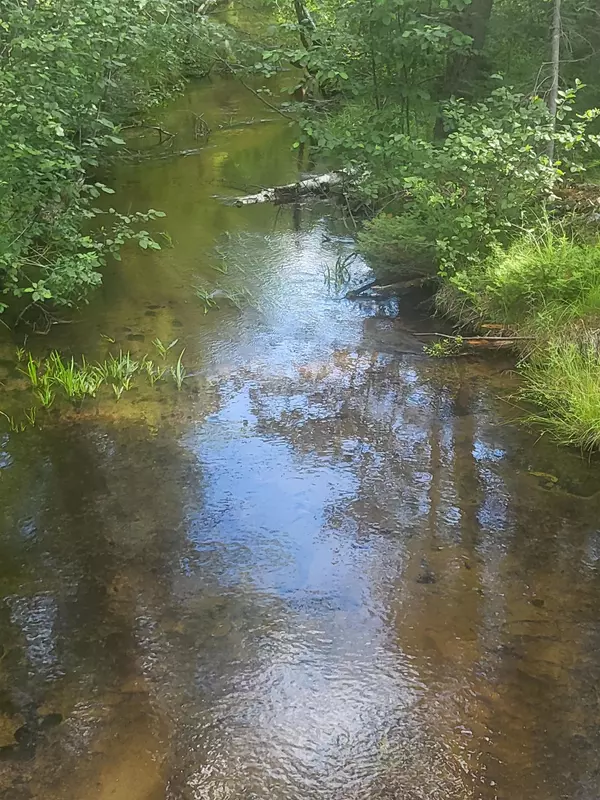0 Vaughn Road, Hale, MI 48739