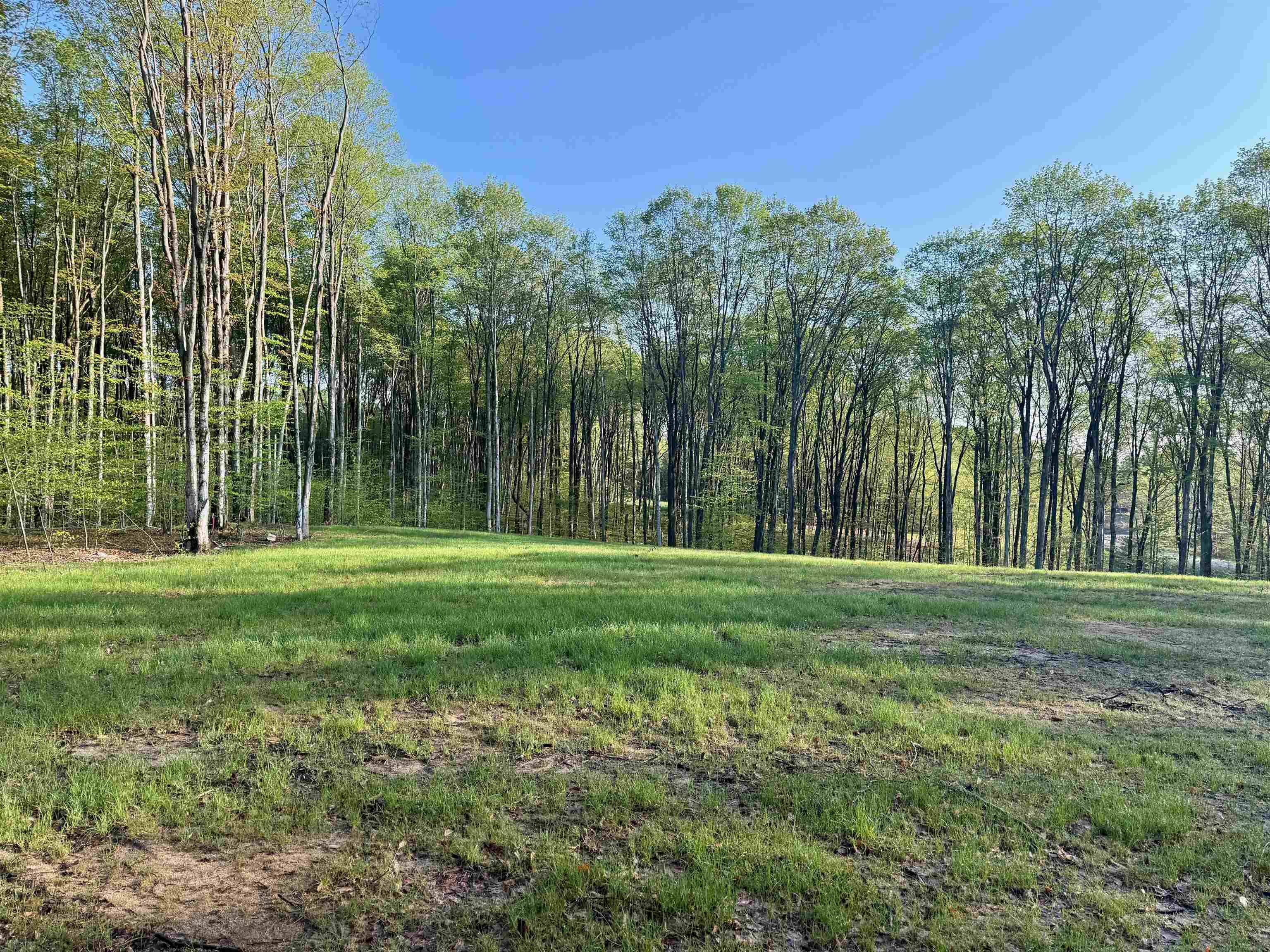 0001 S Bright Road, Maple City, MI 49664