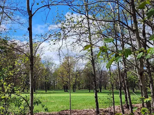 Mancelona, MI 49659,TBD Fairway Hollow