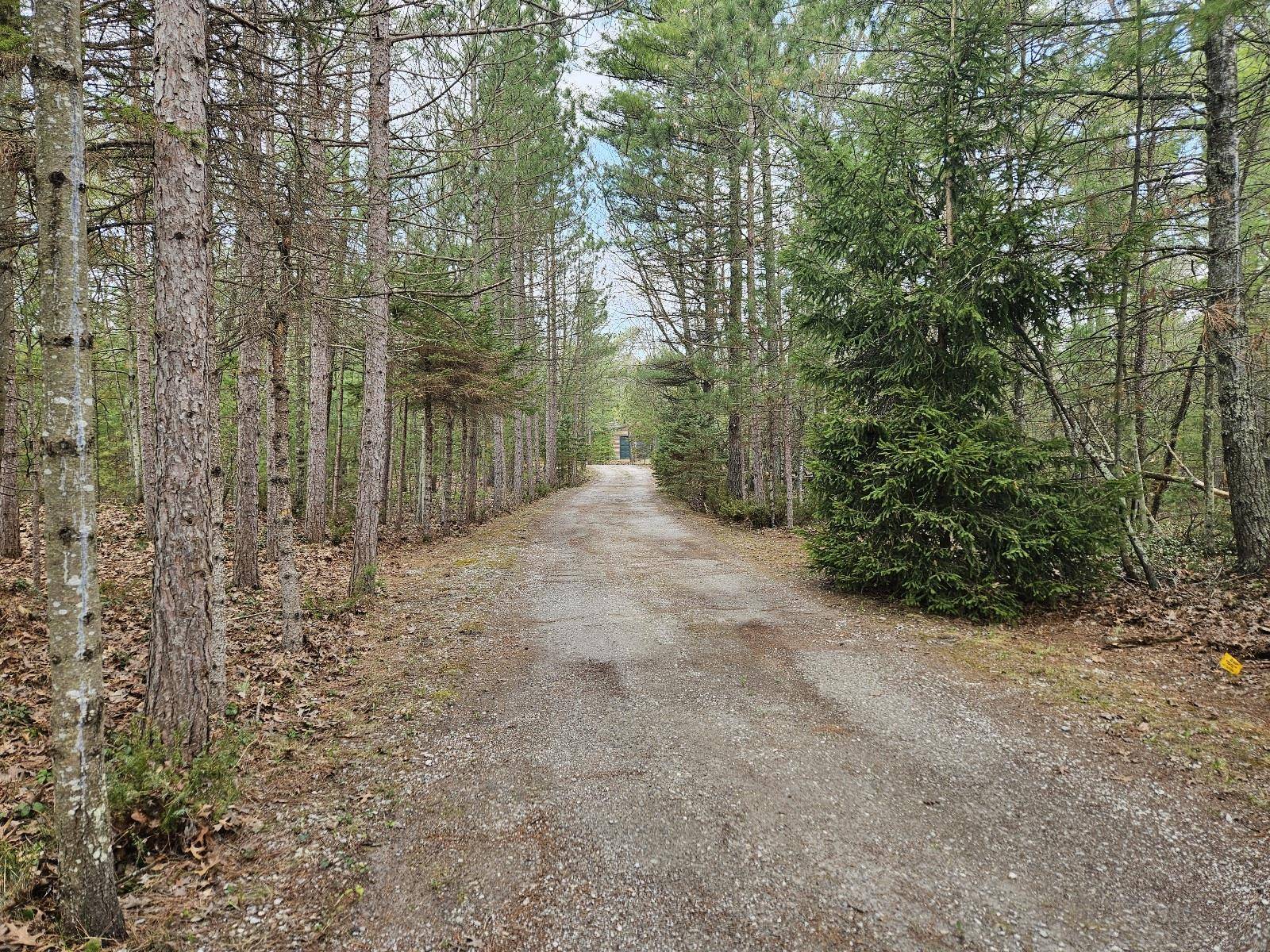 Oscoda, MI 48750,3767 N US-23