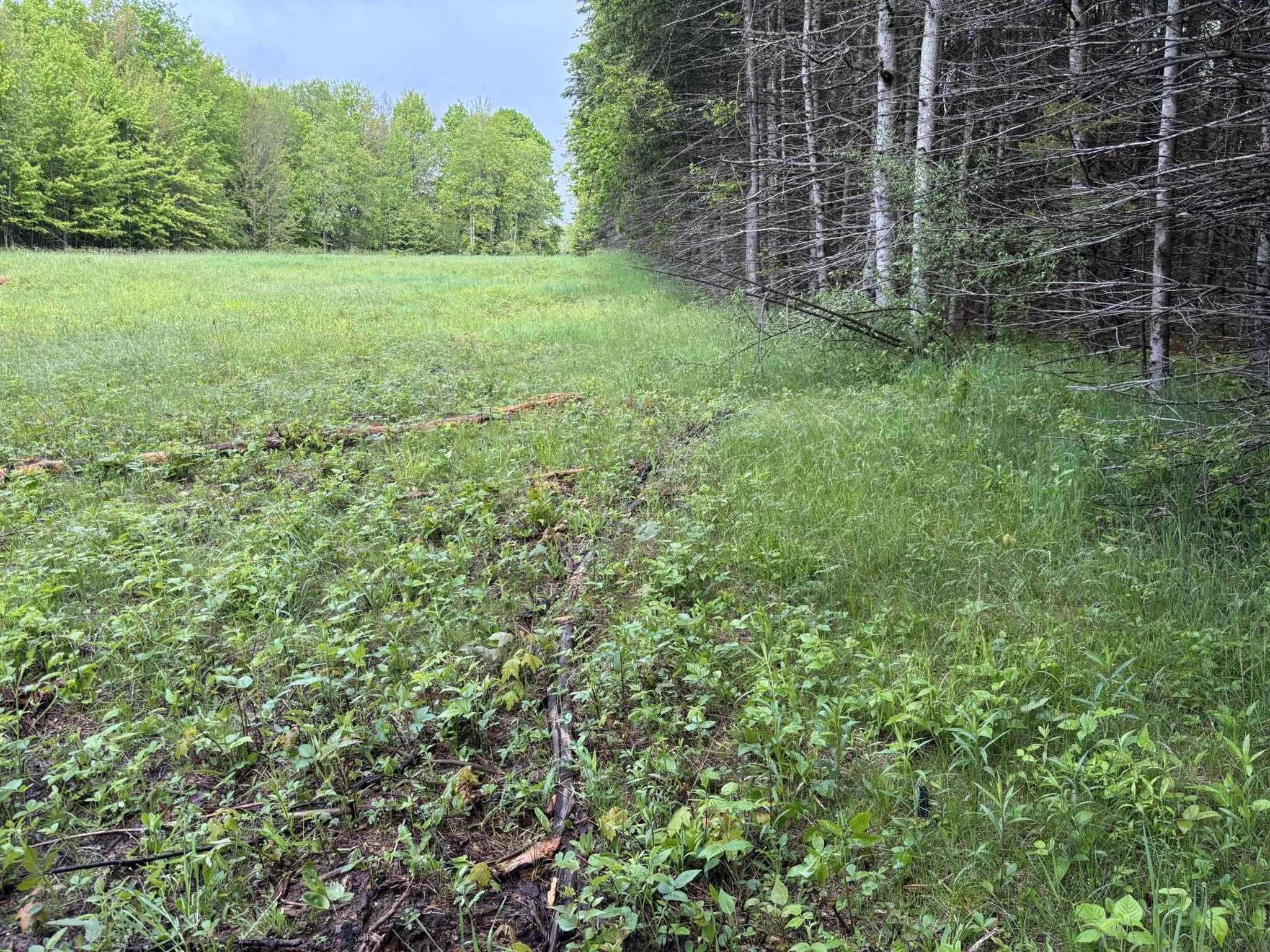 8240 N 8 Mile Road, Lake City, MI 49651