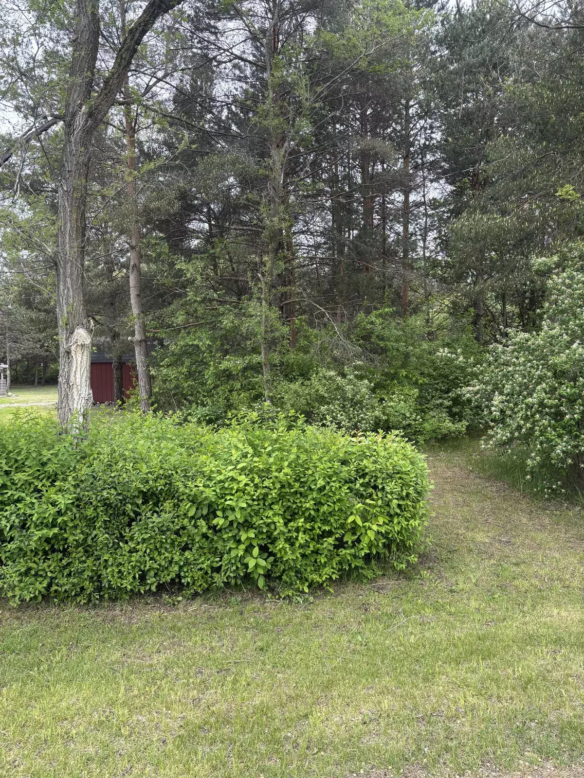 Mount Pleasant, MI 48858,TBD Carter Street