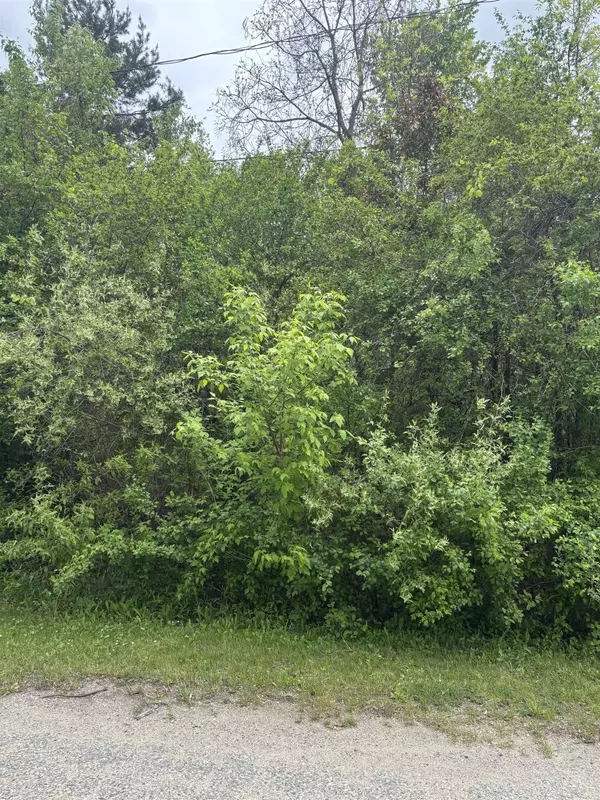 Mount Pleasant, MI 48858,Lot 49 Leona Drive