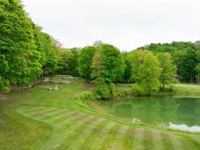Bellaire, MI 49615,4492 Forest Trail