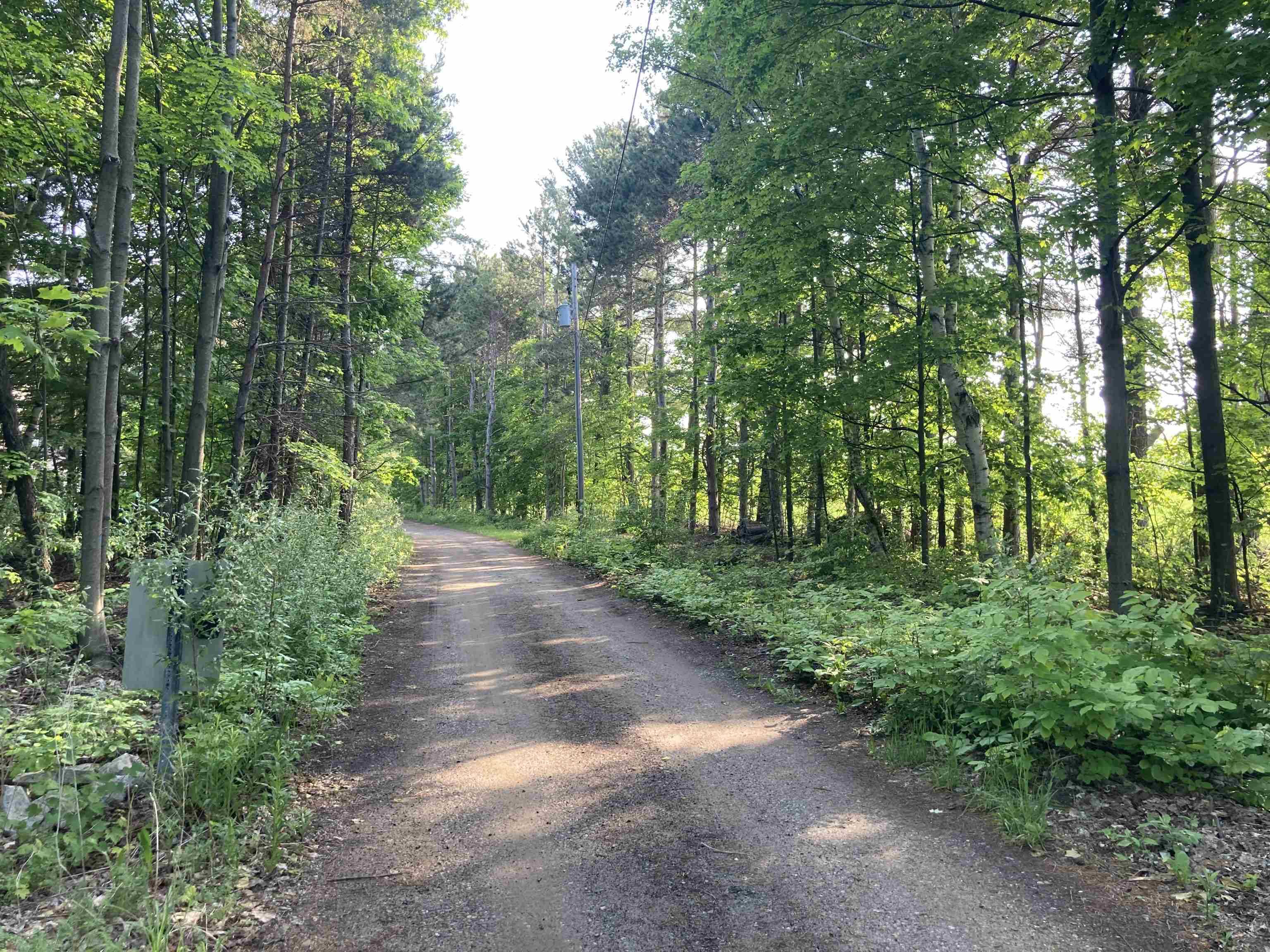 Traverse City, MI 49686,15615 Upper Birch Drive