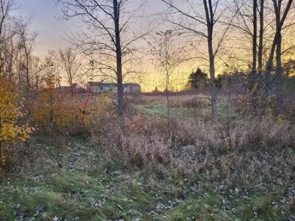 Mount Pleasant, MI 48858,TBD Broomfield Street