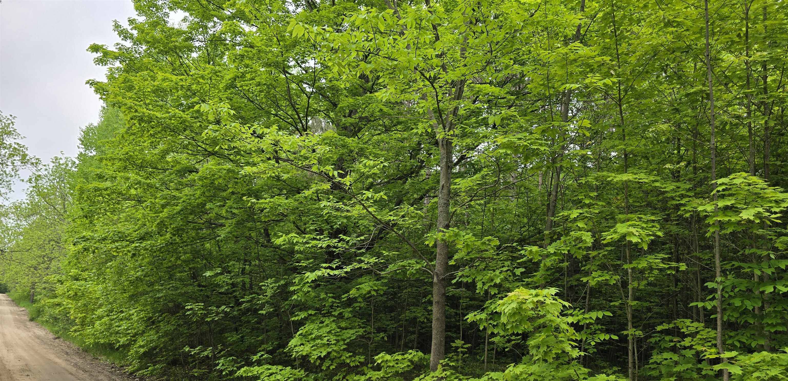 Kalkaska, MI 49646,Lot 1 Hagni Road