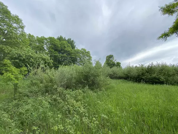 Alden, MI 49612,Parcel A Cemetery Road