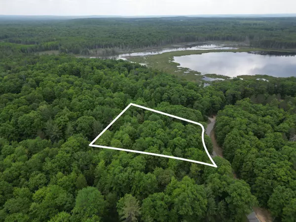 Kalkaska, MI 49646,TBD Sandhill Crane Way