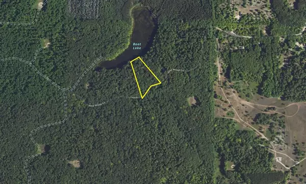 Mancelona, MI 49659,V/L Wildwood Trail