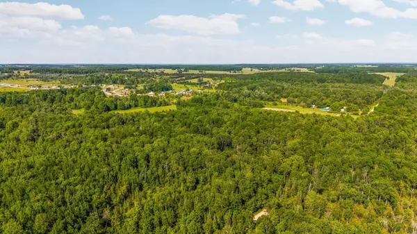 Kingsley, MI 49649,Parcels A-D Sands Road