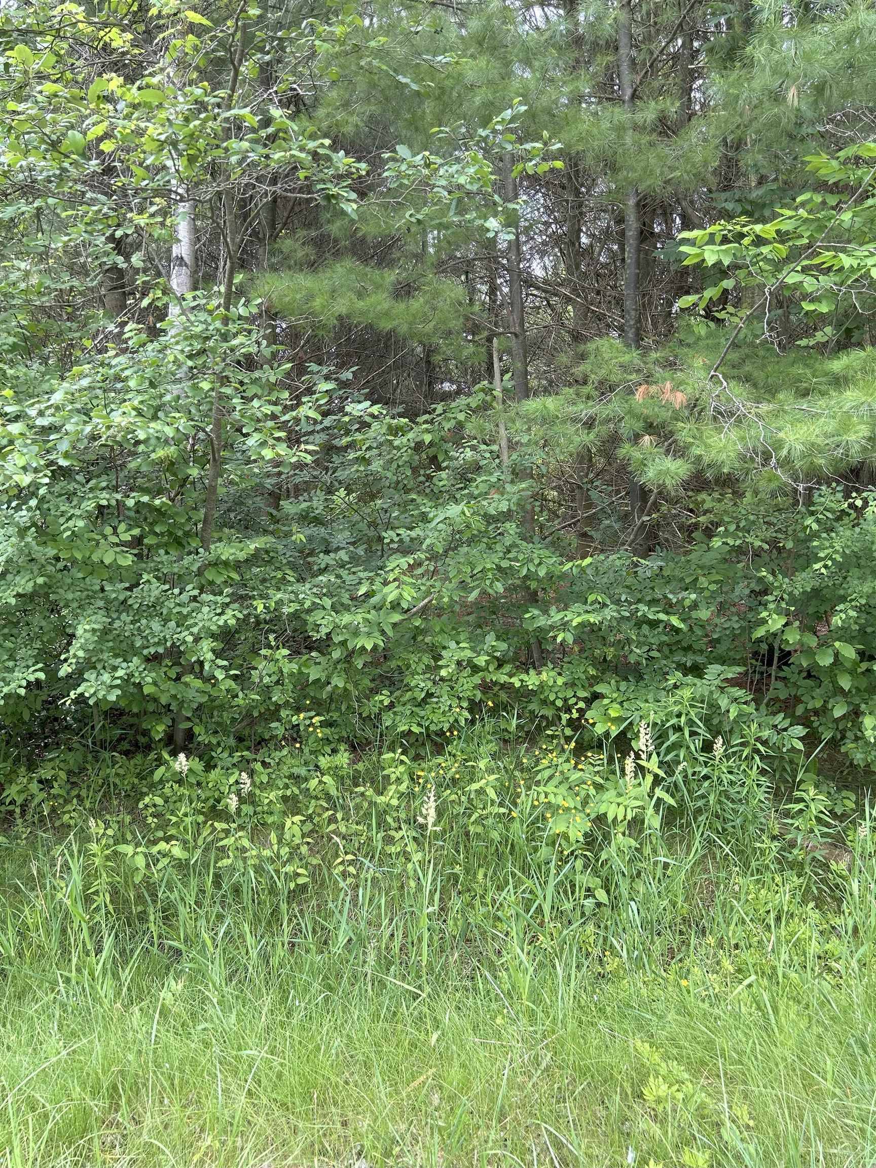 0000 Radov Road, Gladwin, MI 48624