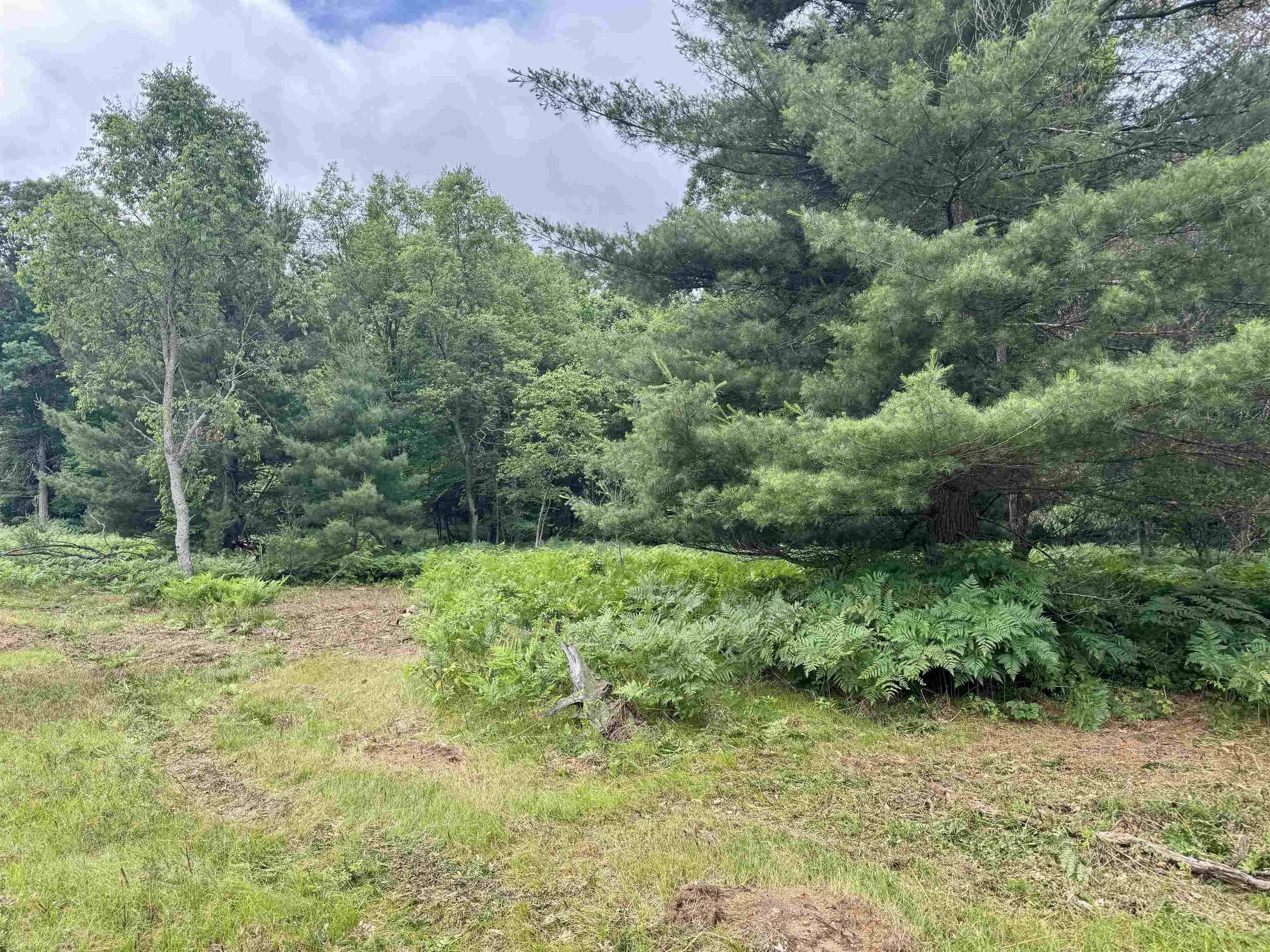 Lake City, MI 49651,Parcel M Rosted Road