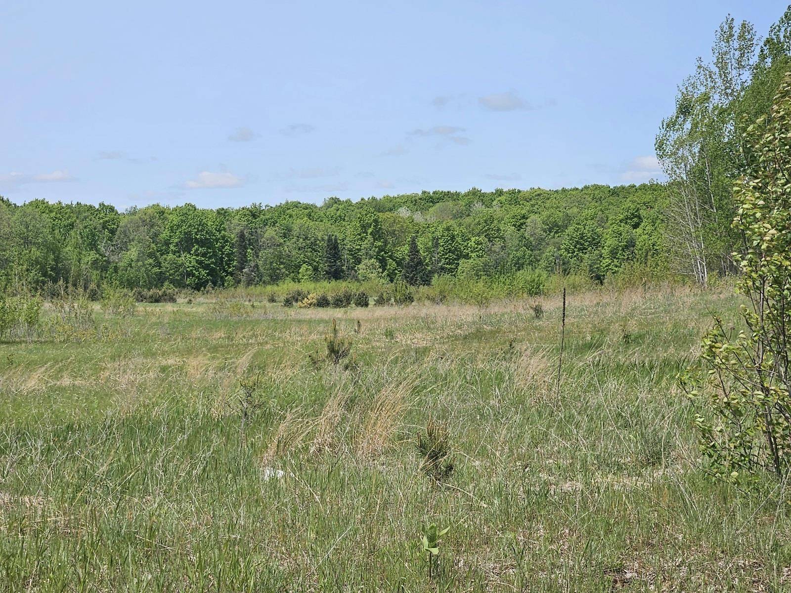 0 W Moorestown Road, Lake City, MI 49651