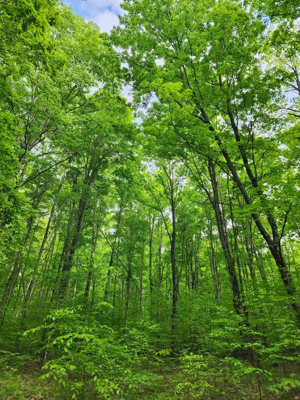 Mancelona, MI 49659,10 Acres VL Wildwood