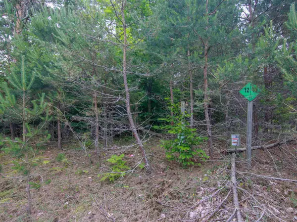 Bear Lake, MI 49614,000 Winding Creek