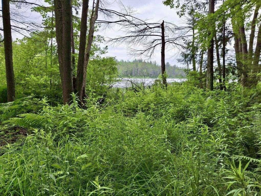 Kalkaska, MI 49646,5796 Lake Five Lane