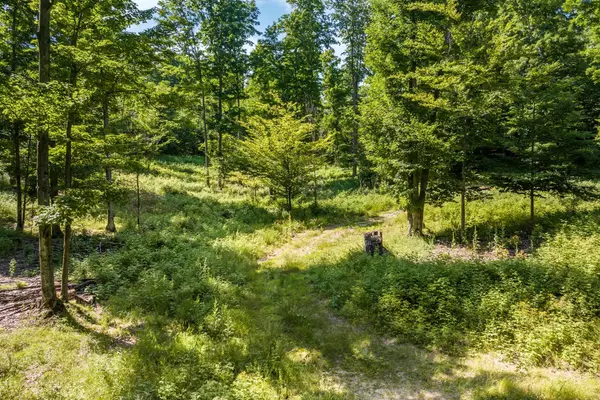 Kewadin, MI 49648,0000 Hjelte Road
