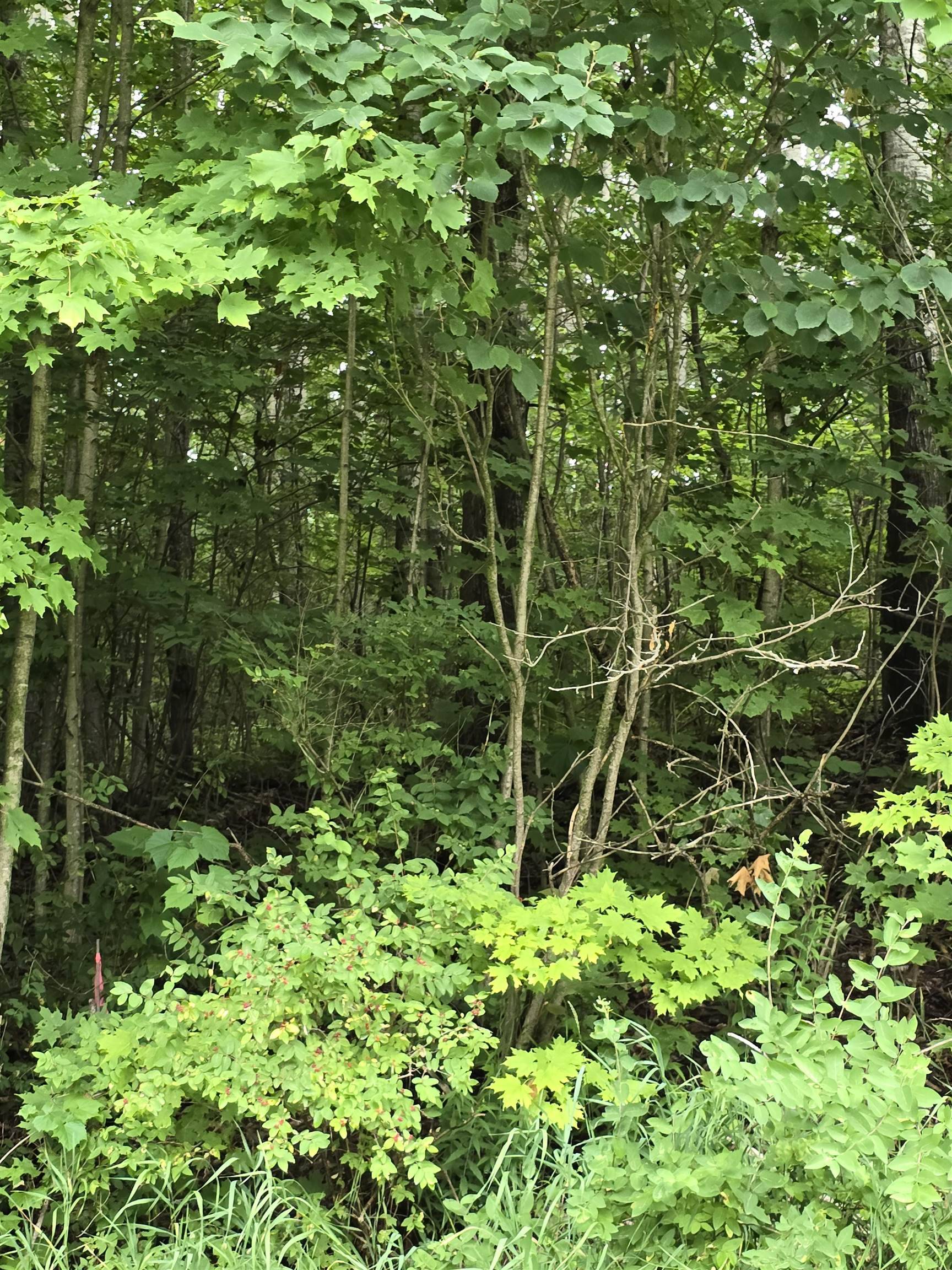 Mesick, MI 49668,V/L 00 N 9 Road