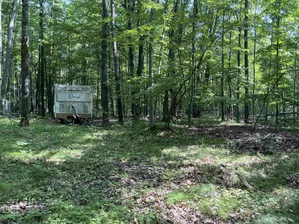 Leroy, MI 49655,115 W Ridge Circle