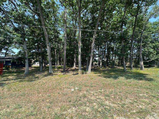 Prudenville, MI 48651,0 Bright Angel Drive