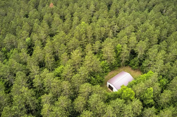 Kingsley, MI 49649,00 Blackman Road